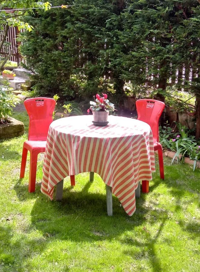 Bed And Breakfast Di Manu Taglio di Po Exterior foto
