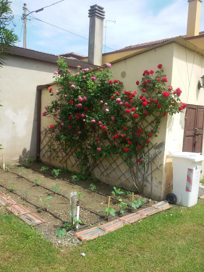 Bed And Breakfast Di Manu Taglio di Po Exterior foto